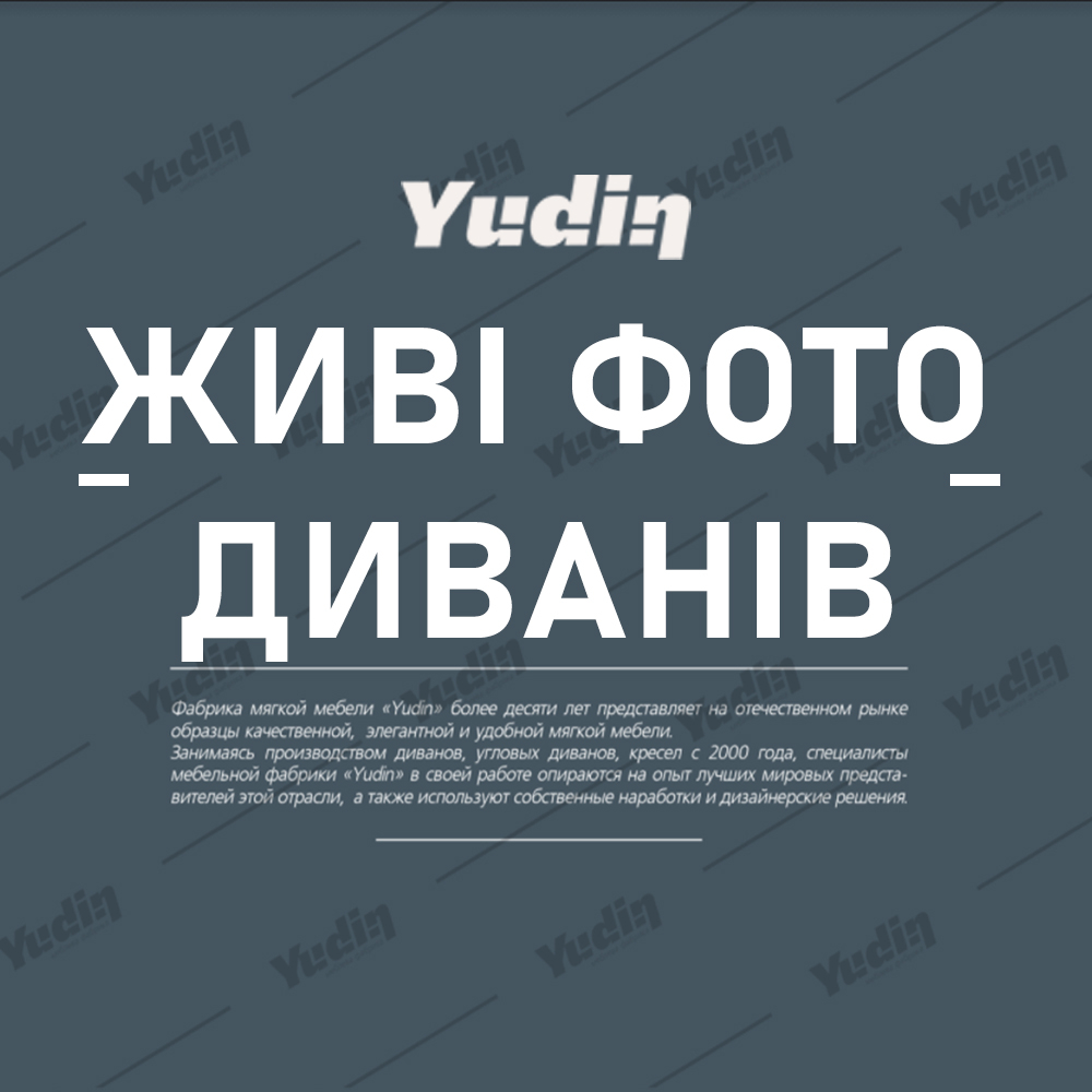 Живі фото диванів